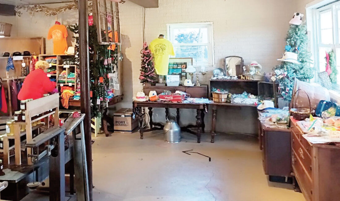Gallery image